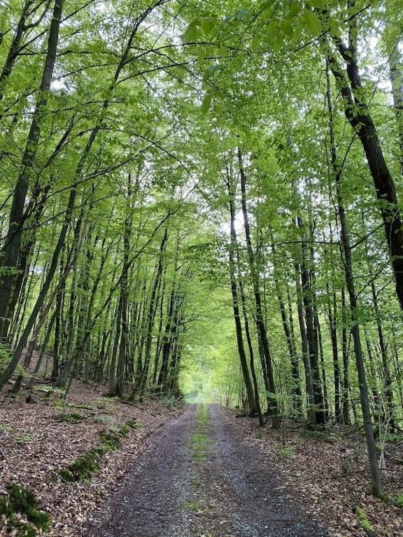 Ganze Ferienwohnung In Idyllischer Umgebung Werdohl Εξωτερικό φωτογραφία